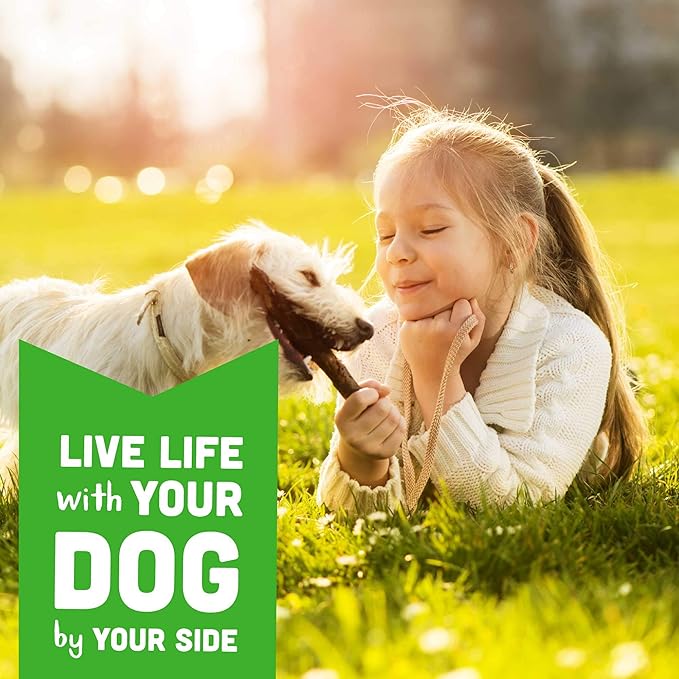 Cloud Star Wag More Bark Less - Dog Treats - Soft Chews - Grain Free Chicken & Sweet Potato - 5 oz Pouch