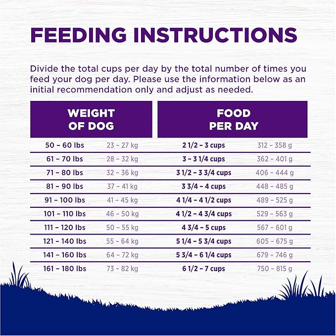 Wellness Complete Health Large Breed Adult Dry Dog Food, Grain Free Kibble, Natural, Chicken Recipe, 24 lb Bag