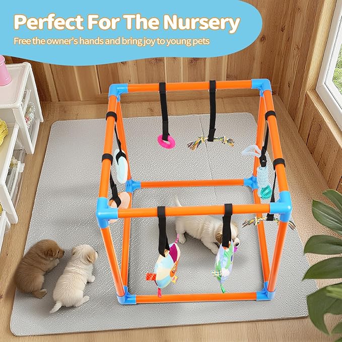Liitrton Puppy Play Gym - Small Dogs Play Gym with 8 Hanging Toys, Indoor Puppy Jungle Gym with Interactive Dog Enrichment Toys, 19.5"x19.5"x19.5" PVC Frame (Orange)