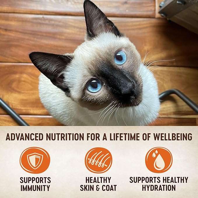 Wellness CORE Tiny Tasters Pate Adult Wet Cat Food, Natural, Protein-Rich, Grain Free, 1.75 Ounce Pouch (Chicken),(Pack of 24)