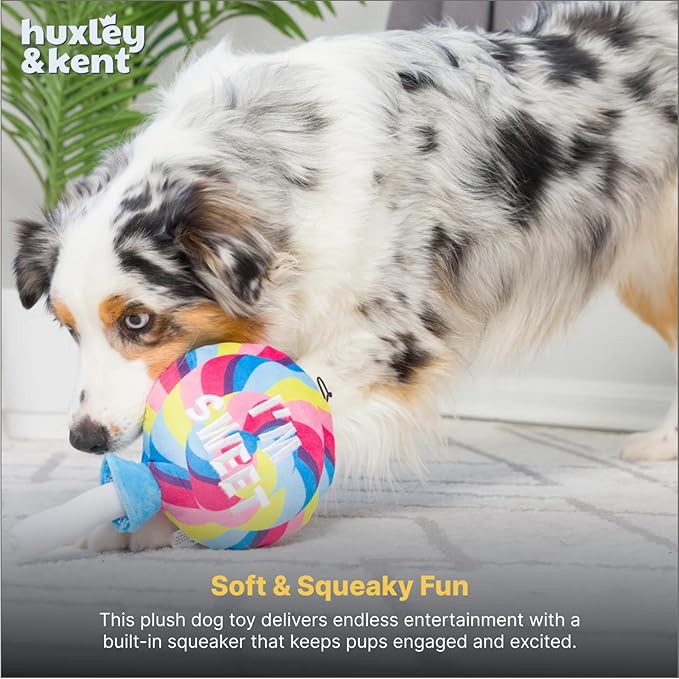 Huxley & Kent Funny Dog Toy w/Squeaker – Power Plush Squeaky Dog Toys for Small, Medium & Large Dogs – Soft Stuffed Animal for Indoor Play & Fetch - I'm Sweet Lollipop, Small
