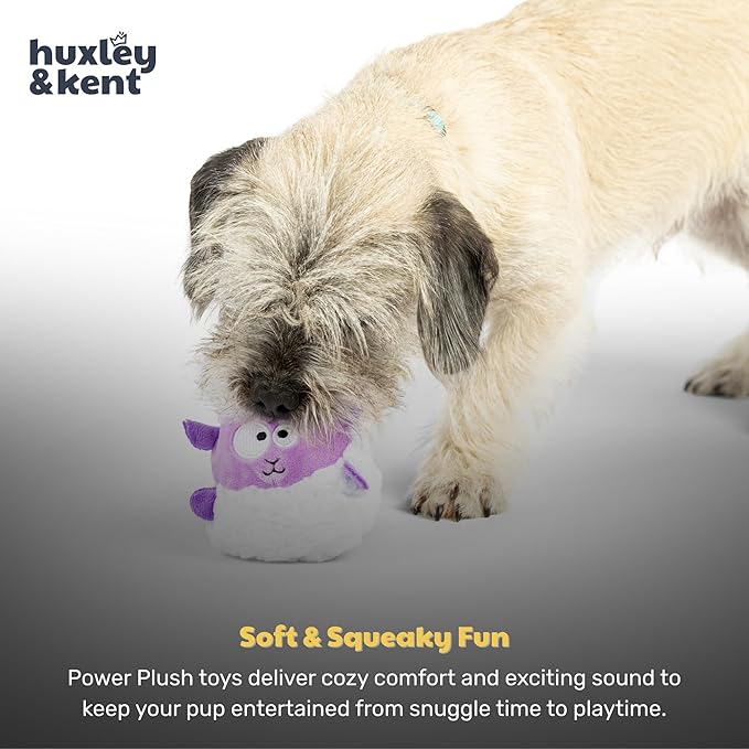 Huxley & Kent Funny Dog Toy w/Squeaker – Power Plush Squeaky Dog Toys for Small Dogs – Durable Small Stuffed Animal for Indoor Play & Fetch - Tiny Tuff Lady Baba