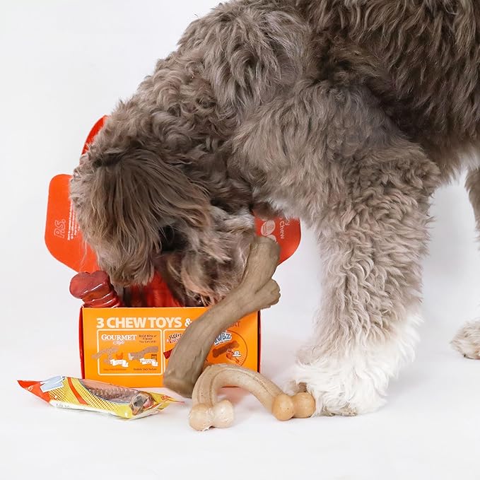 Nylabone Dog Gift Box, Includes 3 Strong Chew Toys and 1 Natural Treat, Gifts for Dogs, Large - Up to 50 lbs, 4 Pack