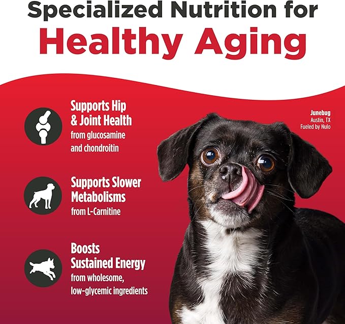 Nulo FreeStyle Senior Dry Dog Food - Trout & Sweet Potato, High Protein Grain Free Dog Food, Kibble with Probiotics, Glucosamine, Chondroitin, Hip and Joint Support, Small, Medium, Large Breeds, 6lb