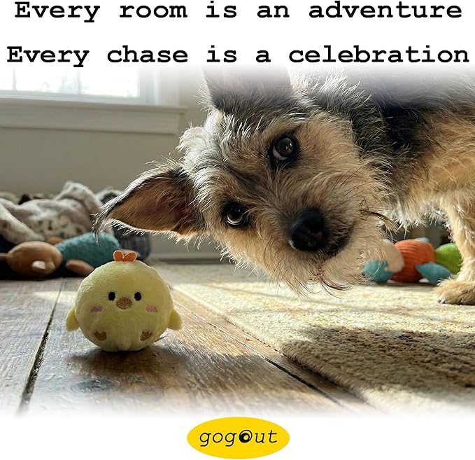 Fluffy Squeaky Pet Balls for Small Dogs and Cats (1, Piggy)