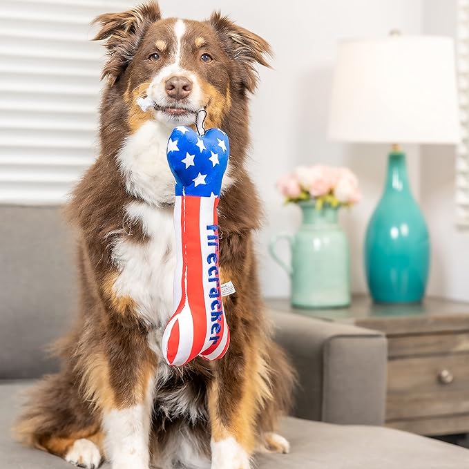 Huxley & Kent for Dogs | Lil' Firecracker Bone (Small) | 4th of July Funny Dog Toy | Power Plush Dog Toy with Squeaker | Dog Gift | Fun, Durable, and Safe | H&K Squeaky Dog Toy