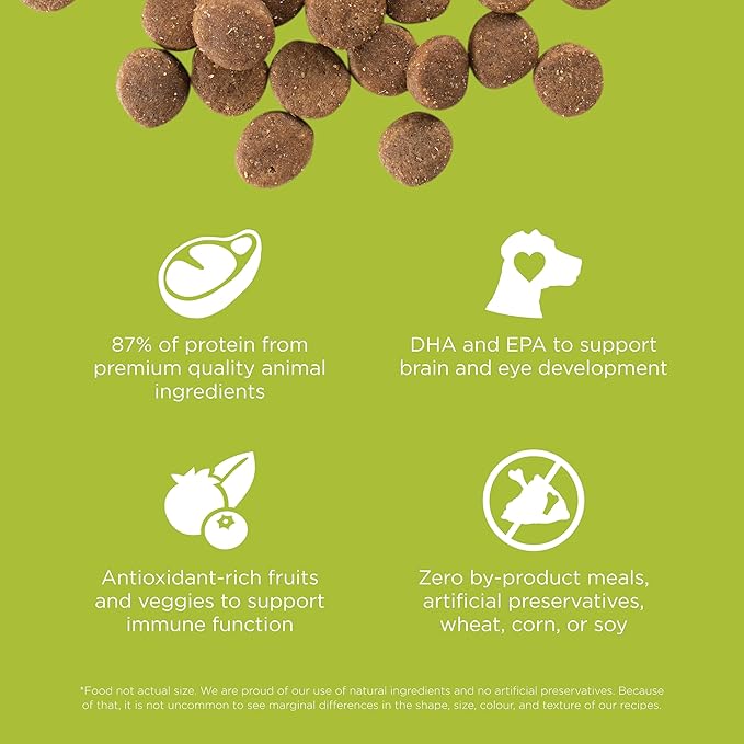 Go! Solutions Carnivore Chicken, Turkey + Duck Grain-Free Dry Puppy Food, Our Highest-Protein Kibble Made with Real Meat & Fish, Pumpkin & Probiotics for Good Digestion, 22 lb Bag