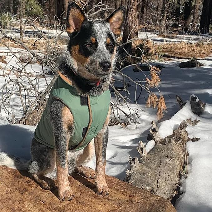 Gooby Sport Vest - Green, X-Small, Reflective Dog Vest with D Ring Leash, Warm Fleece Lined Small Dog Sweater