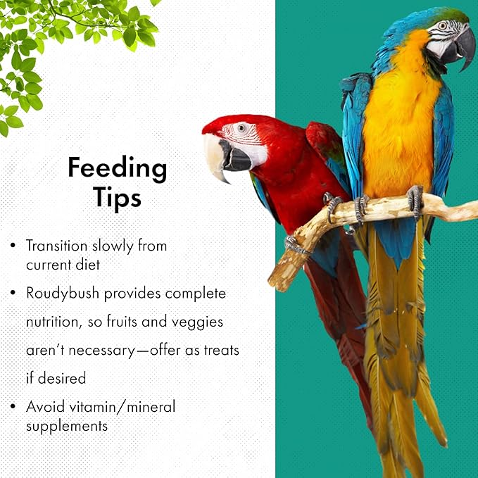 Roudybush High Energy Breeder Food for Breeding & Weaning Birds - Scientifically Formulated Bird Feed - Bird Food Pellets w/Corn, Wheat, Soy & More - Nutritious & Healthy Feed for Birds (Mini, 44oz)