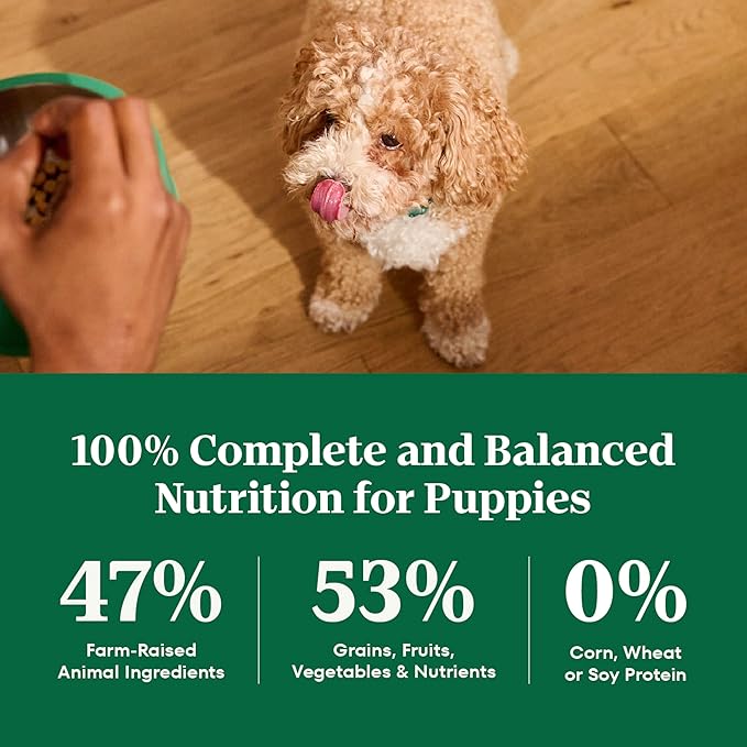 Nutro Natural Choice Dry Puppy Food, Dry Dog Food for Puppies, Chicken and Brown Rice Recipe, 13 lbs.