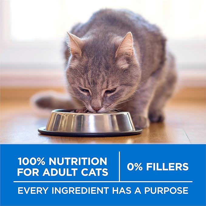 Purina ONE Plus High Protein Cat Food Dry Salmon and Ocean Whitefish Cat Skin and Coat Health Formula - 22 lb. Bag