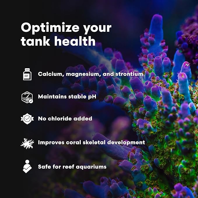 Brightwell Aquatics Kalk+2 – Premium Kalkwasser Powder Supplement with Calcium, Strontium, and Magnesium for Reef Aquariums, pH & Alkalinity Support, 225g