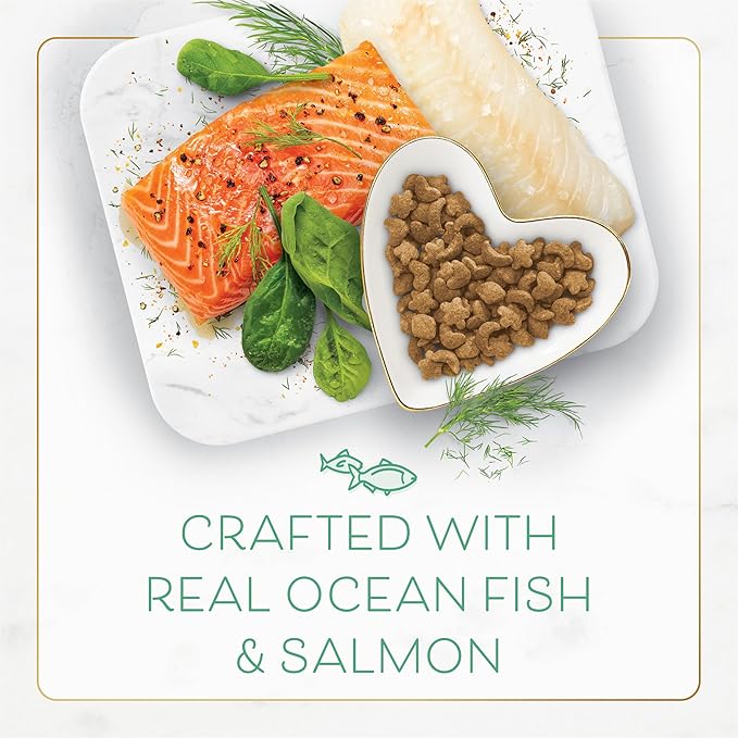 Fancy Feast Purina Dry Cat Food with Ocean Fish and Salmon - 3 lb. Bag (Pack of 2)