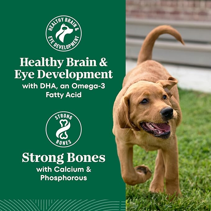 Nutro Natural Choice Dry Puppy Food, Dry Dog Food for Puppies, Chicken and Brown Rice Recipe, 13 lbs.