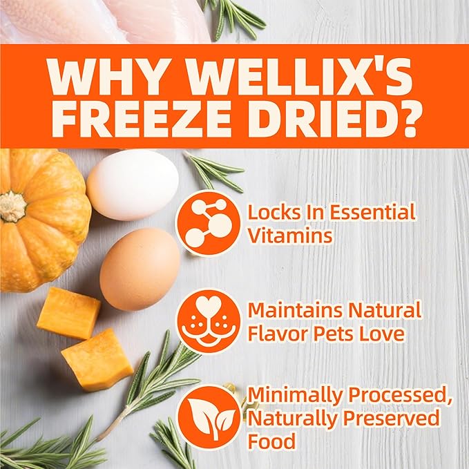 Wellix Cat Treats Pumpkin&Chicken & Pumpkin Raw Treat
