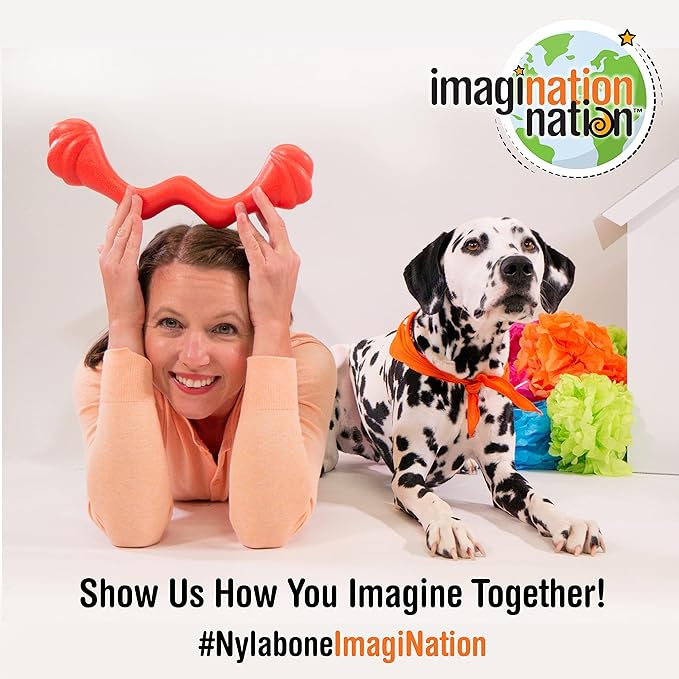 Nylabone Springa and Tuug Interactive Dog Toys Bundle for Dog Enrichment – Lightweight Intriguing Dog Tug Toys for Creative Play & Dog Exercise Springa & Tuug, Multi-Color, (ND1098)