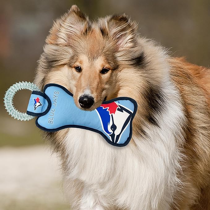 MLB Toronto Blue Jays Bone Shaped Dental Dog TUG Toy with Squeaker. Tough PET Toy for Healthy Fun, Teething, and Cleaning pet's Teeth and Gum.