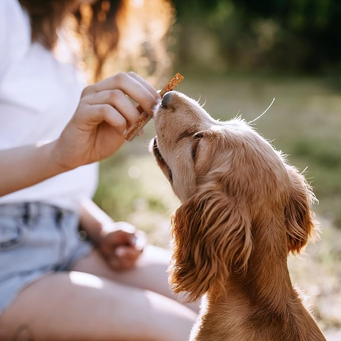 SmartBones No Artificial Colors or Preservatives Pretzel-Style Chews, Treat Your Dog to a Fun Shapped Rawhide-Free Chew 8 Count (Pack of 1)