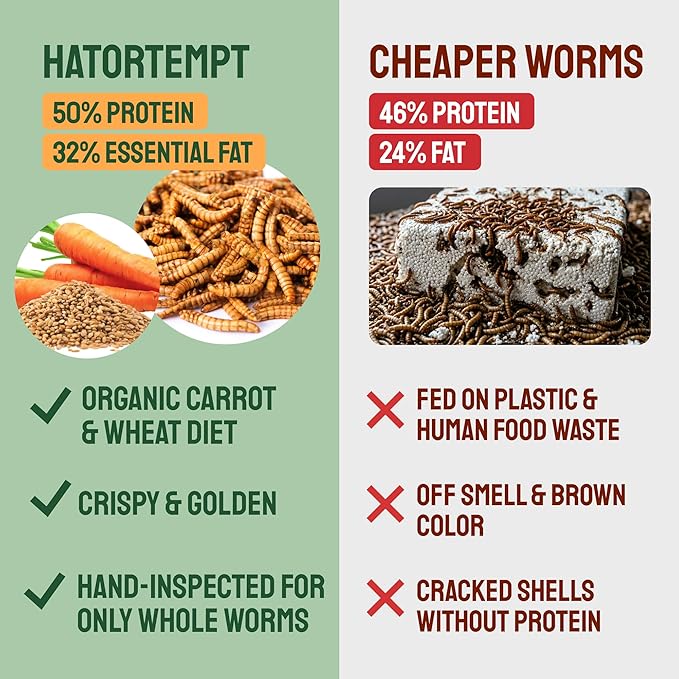 Hatortempt Bulk Dried Mealworms - 10 Lb Bag - Non-GMO Dried Mealworms for Chickens, Ducks & Wild Birds - High-Protein Chicken Feed & Bird Food