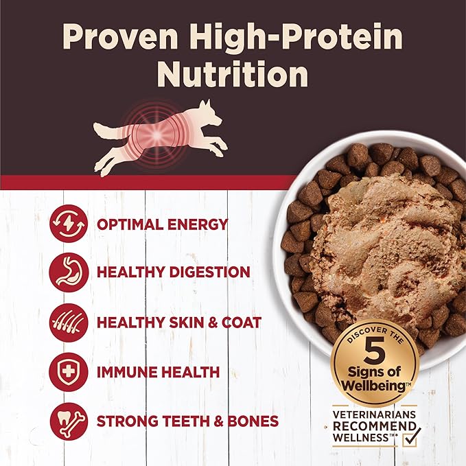 Wellness CORE Digestive Health Pate Adult Canned Wet Dog Food, Grain Free, Sensitive Stomach, Natural, Beef Recipe, 13 oz, Pack of 12 Cans