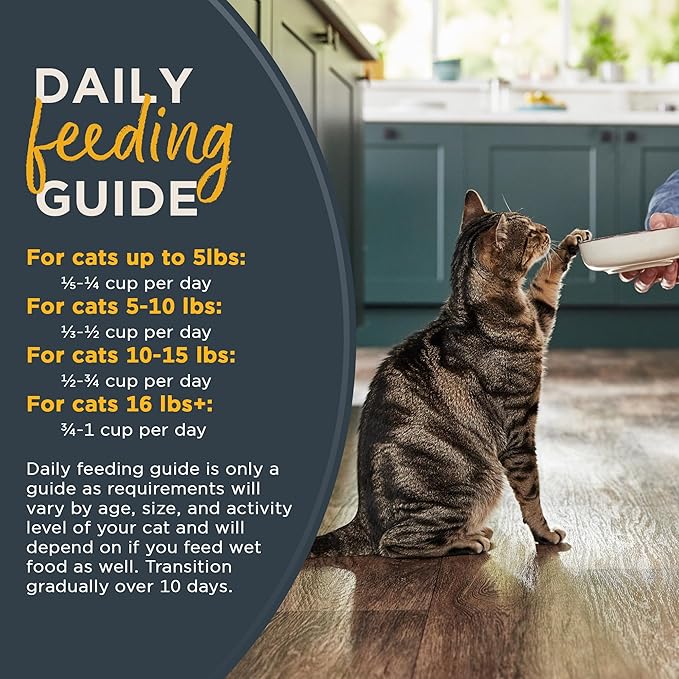 Reveal Natural Adult Dry Cat Food, High Protein, Grain Free with Added Vitamins & Minerals, Complete & Balanced Nutrition for Cats, Chicken Recipe (3 Pound Bag) (Pack of 2)