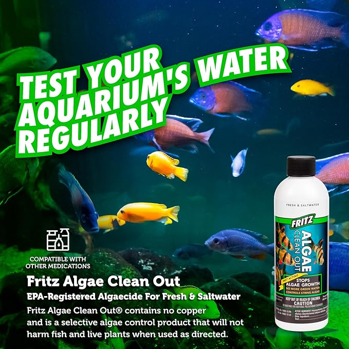 Fritz Aquatics AFA48008 Algae Clean Out for Aquarium, 8-Ounce, Model: 805000
