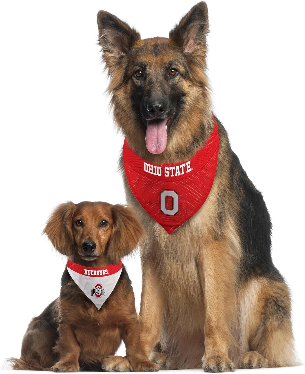 Pets First Collegiate Pet Accessories, Reversible Bandana, Ohio State Buckeyes Size XX-Large