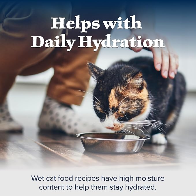 Blue Buffalo Wilderness High-Protein Grain-Free Wet Food for Adult Cats 7+,Chicken Recipe,5.5-oz.,24-Count,(Pack of 24)