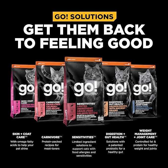 Go! Solutions Sensitivities Limited Ingredient Salmon Grain-Free Dry Cat Food, Chicken-Free Kibble Made by Experts for Sensitive Stomachs & Food Allergies, for Kittens, Adults, & Seniors, 6 lb Bag