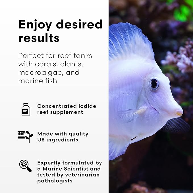 Brightwell Aquatics Iodion Iodide Supplement for Corals Clams Fish Macroalgae Enhances Polyp Extension Lighting Tolerance in Reef Marine Aquariums, 500 ml