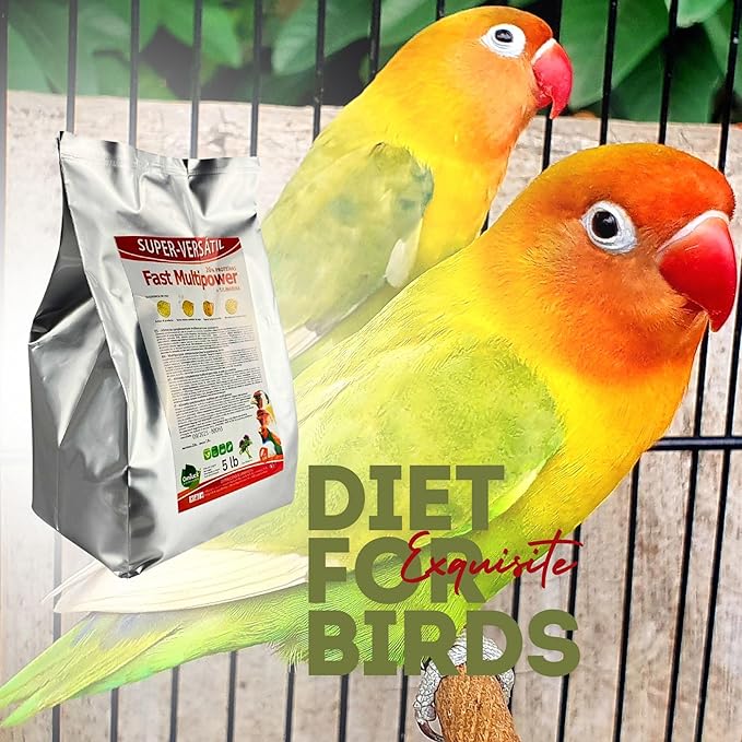 Fast Multipower Bird Food by Super-Versatil - 20 Percent Protein for Canary and Small Bird, Chick Feed with Milk Thistle Extract for Chicks High Energy Blend Silver Foil Bag 5 Lb