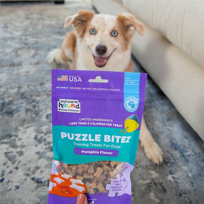 Outward Hound by Nina Ottosson Puzzle Bitez USA Made Dog Treats, Pumpkin Flavor, Bite-Sized Training Reward and Interactive Puzzle Toy Treats, 7.5oz