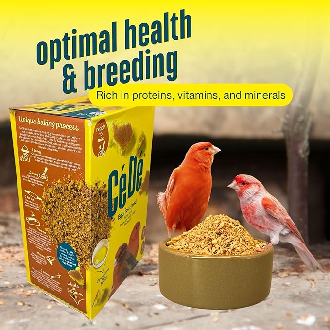 Cédé Red Factor Canary Food – 2Pc of Nutritional Bird Food with Essential Proteins for Breeding, Molting, and Red Color Enhancement, Supplement for Vibrant Canary and Finch Feathers
