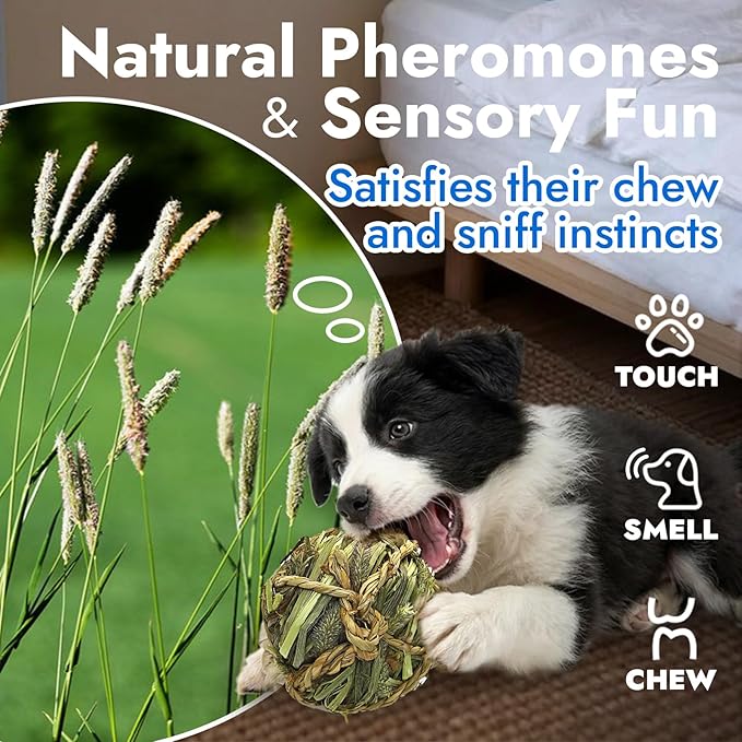 Dog Chew Toys, 3pcs Woven Grass Chew Ball for Dogs, Dental Teething & Interactive Fetch Toys, Outdoor Digestible Chew Ball for Boredom Relief - Seaweed & Timothy Hay, Cornsilk, CornLeaf