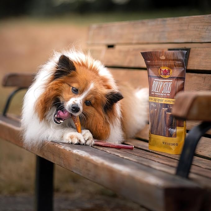 Cadet Bully Sticks for Small Dogs, All-Natural Beef Pizzle, Rawhide-Free Long-Lasting Dog Chews for Aggressive Chewers, 1 Count