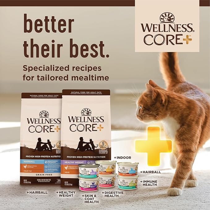 Wellness CORE+ Hairball Adult Dry Cat Food, Natural, Grain Free Kibble, Chicken Recipe, 4.75 lb Bag