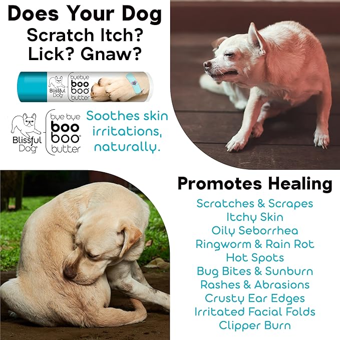 The Blissful Dog Greyhound Boo Boo Butter, 4-Ounce
