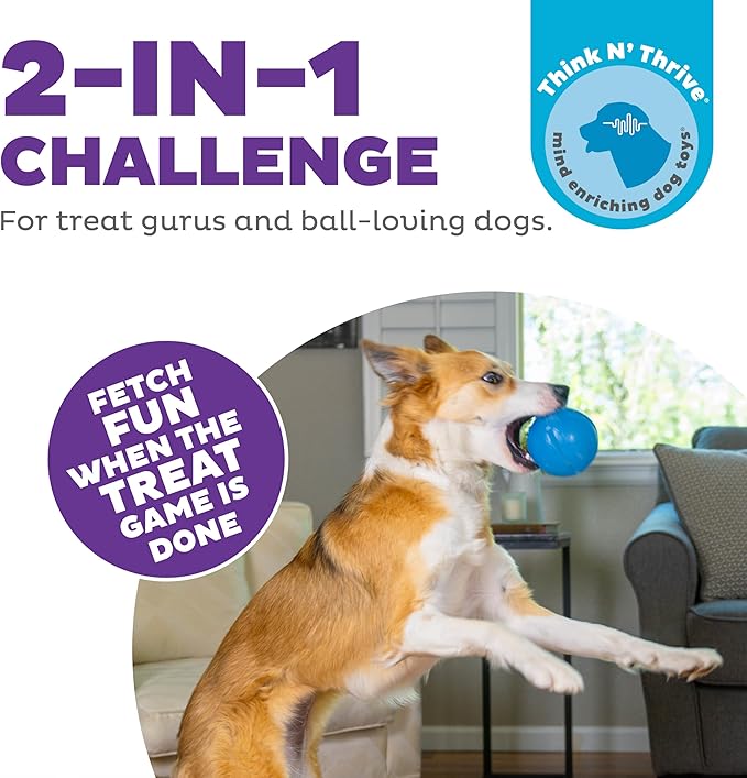 Outward Hound Guru Treat-Dispensing Puzzle Ball Dog Toy, Blue