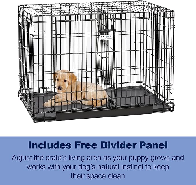 MidWest Homes for Pets Medium Ovation Double Door 30-inch Folding Metal Dog Crate, Front and Up & Away Side Doors, Space-Saving Design