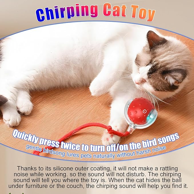 2Pcs Tinyfetch Dog Toy, Interactive Dog Cat Toys Balls with Birdsong, Rechargeable 360° Smart Automatic Rolling Electric Dog Ball Toy with Rope for Pets Indoor & Outdoor Play (Red+Blue)