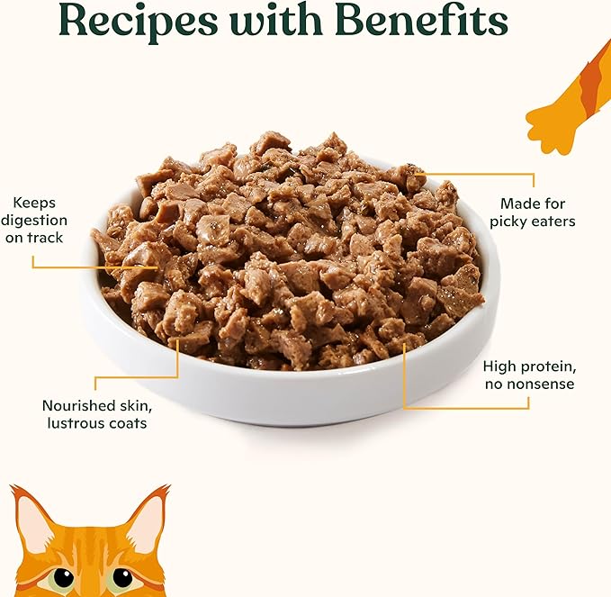 Made by Nacho Premium Minced Wet Canned Cat Food with Hydrating Bone Broth 3.0oz (Variety Pack (12 Count) - Chicken and Herring, Salmon and Sole)