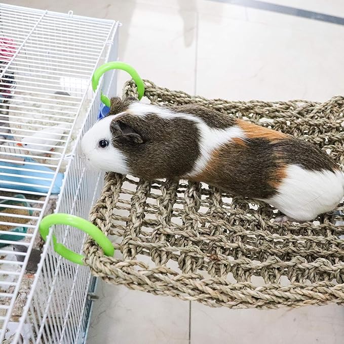 Birds Natural Seagrass Mat Hanging Woven Net Hammock Mat with Hooks Bird Cage Accessories Climbing Rope Ladder Chew Toys for Cockatiel Hamster Guinea Pig Rats Hamster Parakeet (16''x12'')