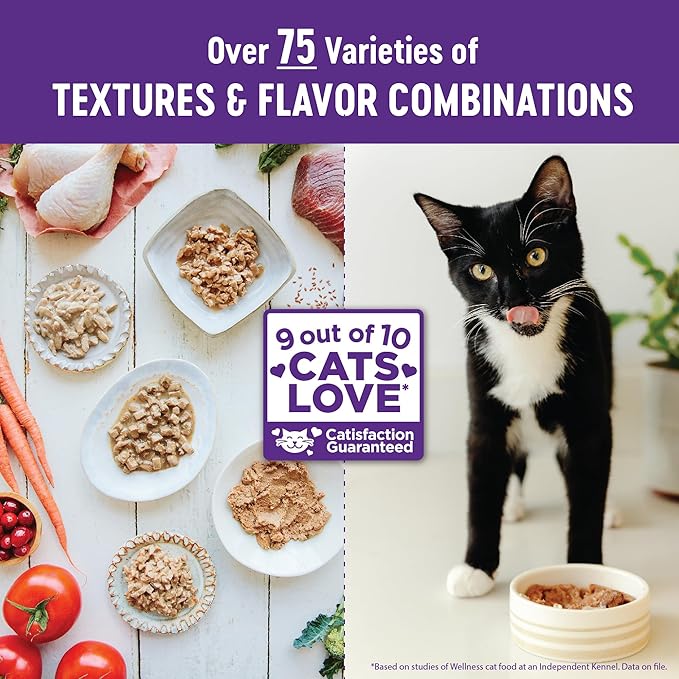 Wellness Healthy Indulgence Gravies Adult Wet Cat Food, Natural, Protein Rich, Grain Free, Chicken and Turkey Recipe, 3 oz, Pack of 24 Pouches