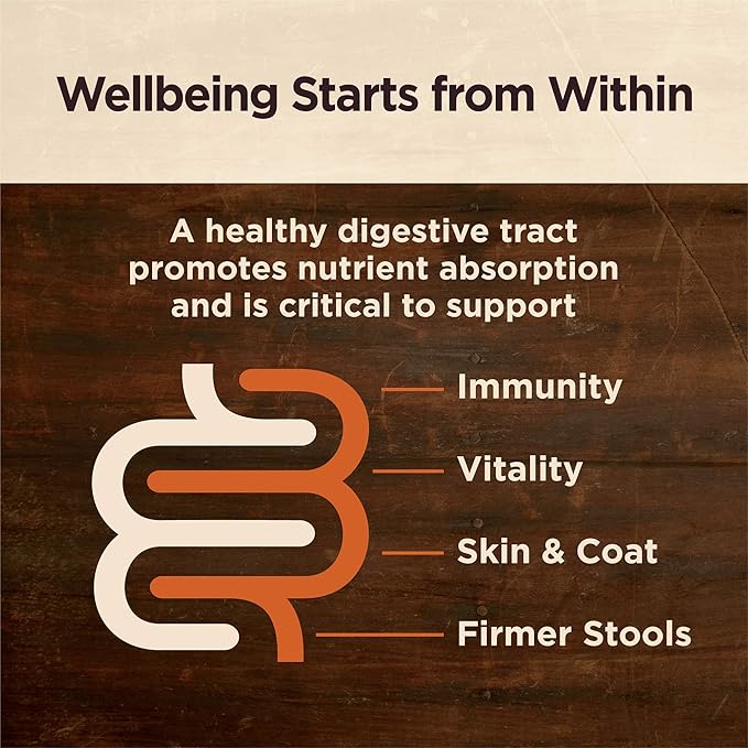 Wellness CORE Digestive Health Age Advantage Senior Dry Dog Food, Wholesome Grain Kibble, Sensitive Stomach, Natural, High Protein, Chicken and Brown Rice Recipe, 4 lb Bag