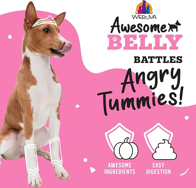 Weruva Awesome Belly Wet Dog Food, Sensitive Stomach Superhero Variety Pack, 14oz Can (Pack of 9)