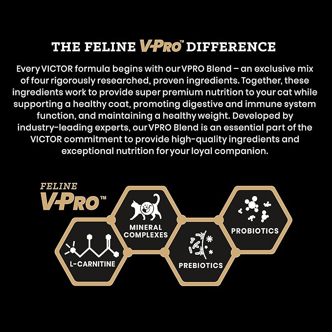 VICTOR Super Premium Cat Food – Grain Free Healthy Skin & Coat - Dry Kibble for Indoor Cats – High Protein - 38% Protein, 18% Fat - Made with Salmon and Fish Meal – All Breeds & All Life Stages, 5lb