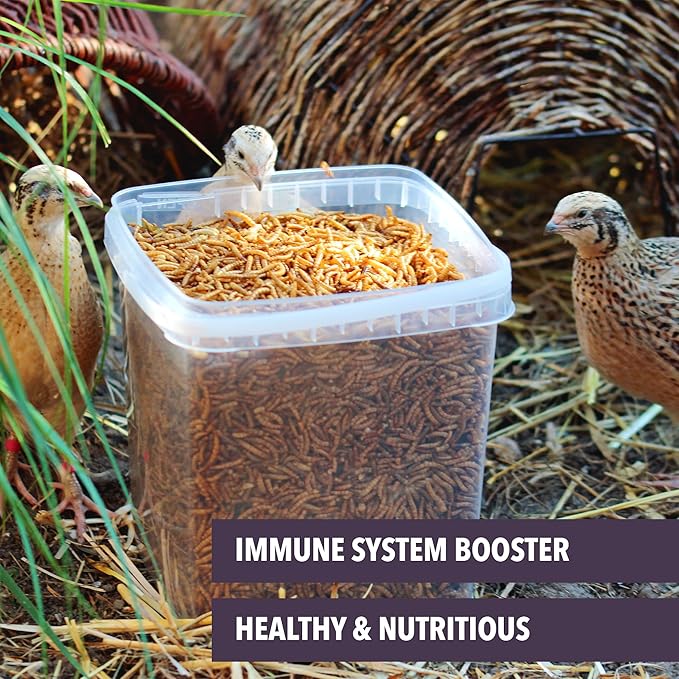 Worm Nerd WN61 10LB Dried Mealworms Non-GMO High Protein and Fiber Treat for Chickens, Birds, Reptiles, Amphibians, Fish., 10 POUNDS