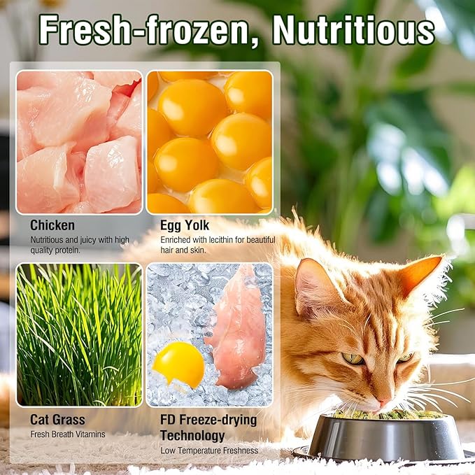 Freeze Drying Cat Grass Treats with Chicken & Egg Yolk - Natural Hairball Relief Snacks for Indoor Cats & Kittens, Healthy Digestive Support, 2.3 oz
