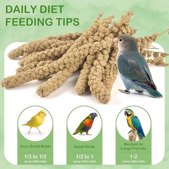 ERKOON 3.5LB Spray Millet Treat, All Natural Sun-Dried Healthy Treat Parrot Food Bird Snack for Parakeets, Lovebirds, Cockatiels, Finches, Budgies, Canaries Hamster, Bird Food Bulk