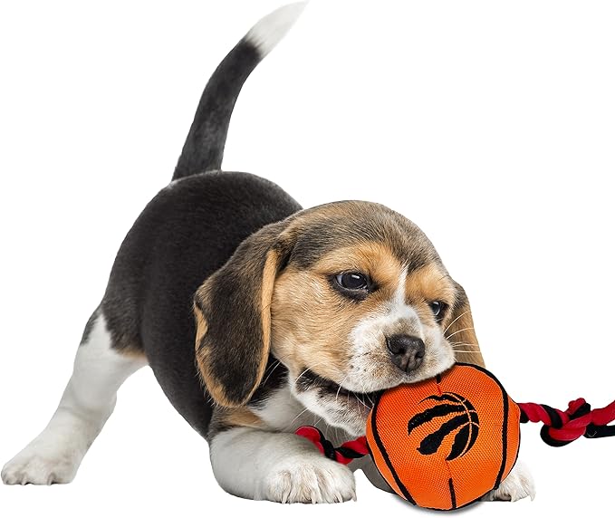 Pets First NBA Toronto Raptors Basketball Toy. - Tough Nylon Pet Toy with Tug Ropes & Inner Squeaker, one Size